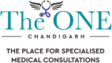 theonechandigarh.com